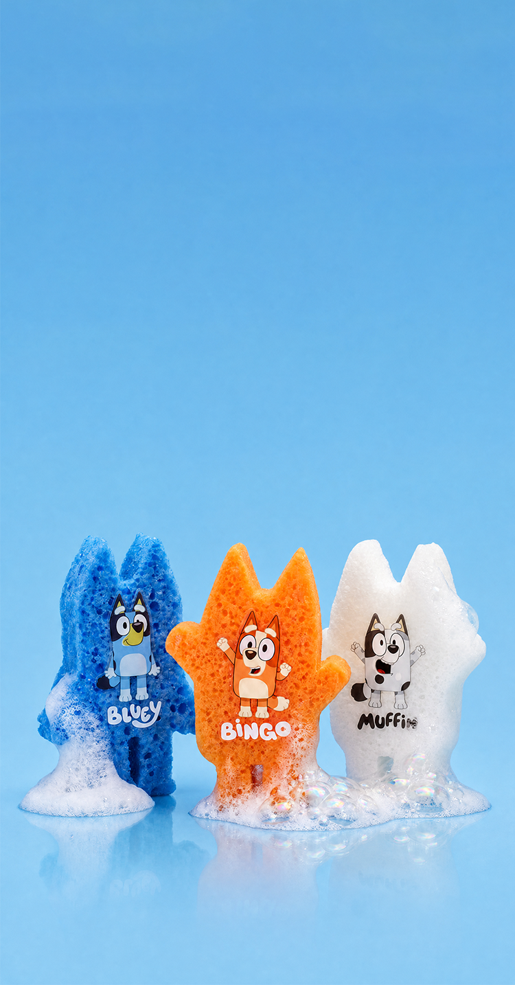 Bluey x Spongellé